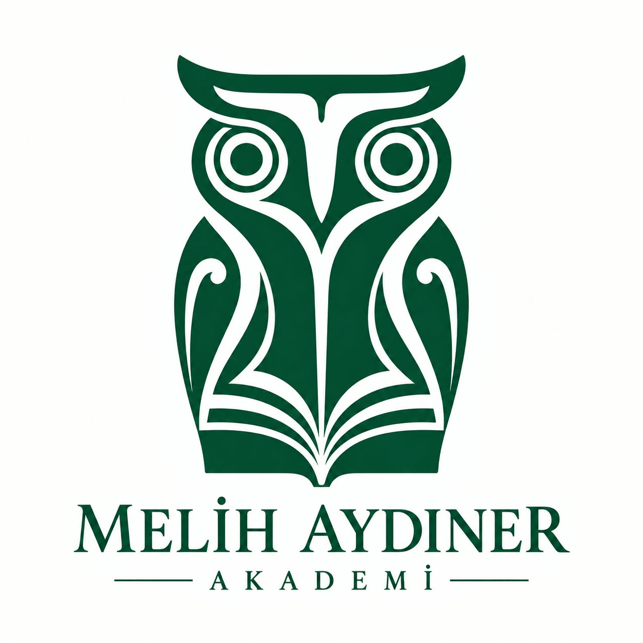 Melih Aydıner Akademi baykuş-kitap amblemi
